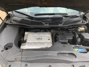 Lexus RX 350 2011 Gray