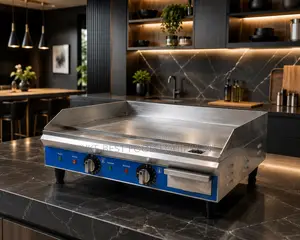 Electric Griddle