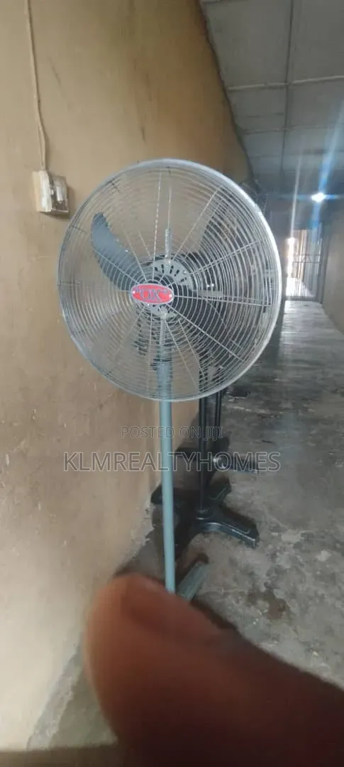 Ox Standing Fan