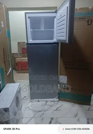 Buy Hisense 306DR 295L Refrigerator Online