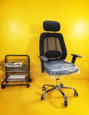 Office Chair / Adjustable Chair