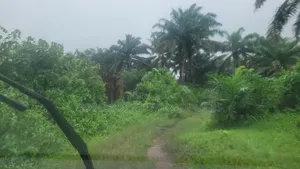465.85SQM Land for Sale at Uruan, Akwa-Ibom State.