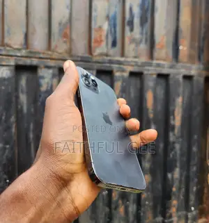 Apple iPhone 12 Pro Max 256 GB Black
