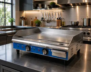 Electric Griddle