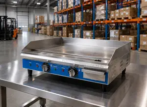 Electric Griddle