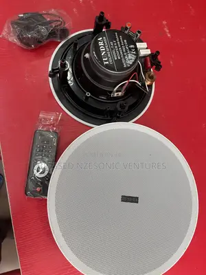 BT Ceiling Speakers
