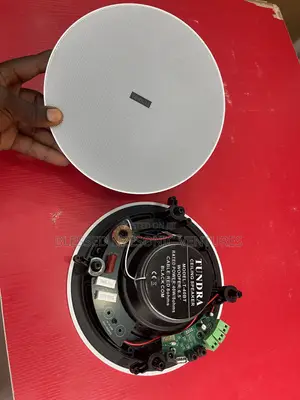 BT Ceiling Speakers