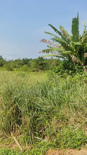 40 Hectares of Land for Sale at Abijo, Ibeju Lekki