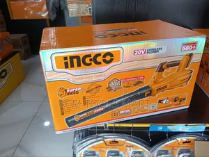 INGCO 20V Brushless Cordless Blower With 2 Batteries Charger