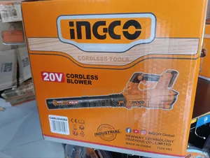INGCO 20V Brushless Cordless Blower With 2 Batteries Charger