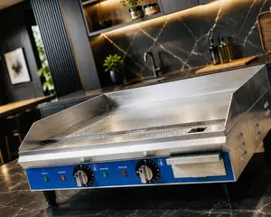 Electric Griddle