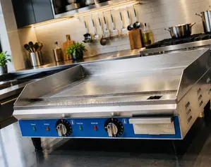 Electric Griddle