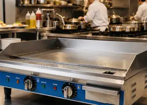 Electric Griddle