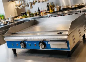 Electric Griddle