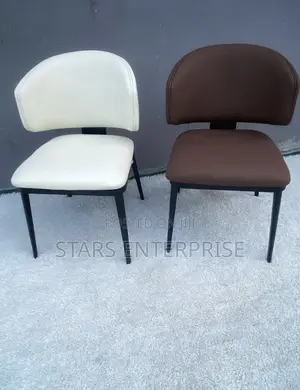 Modern Dining Chair / Balcony Chair