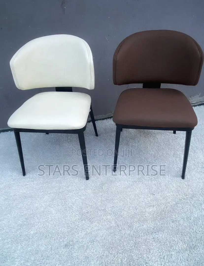 Modern Dining Chair / Balcony Chair