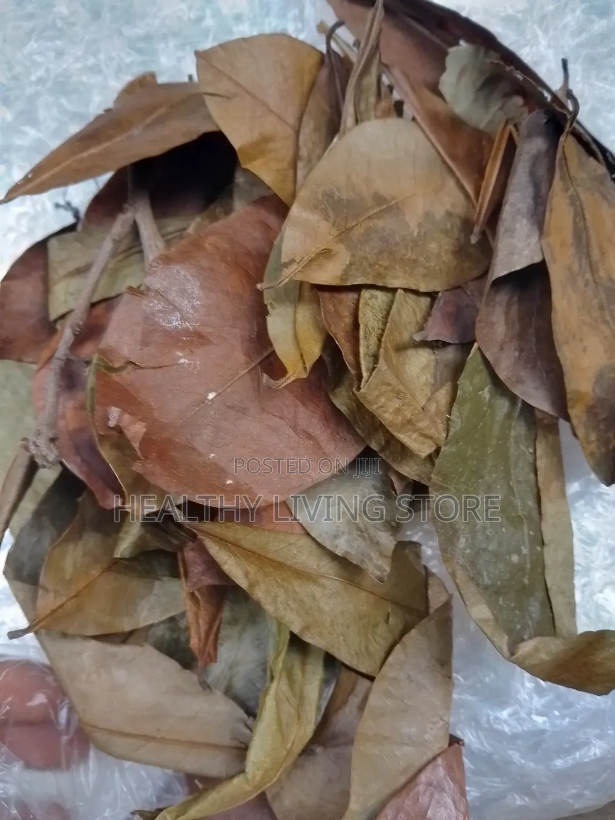 Sour Sop Leaf