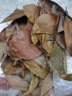 Sour Sop Leaf