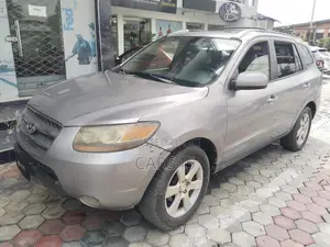 Hyundai Santa Fe 2007 Gray