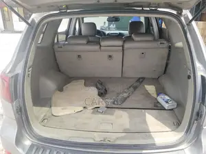 Hyundai Santa Fe 2007 Gray