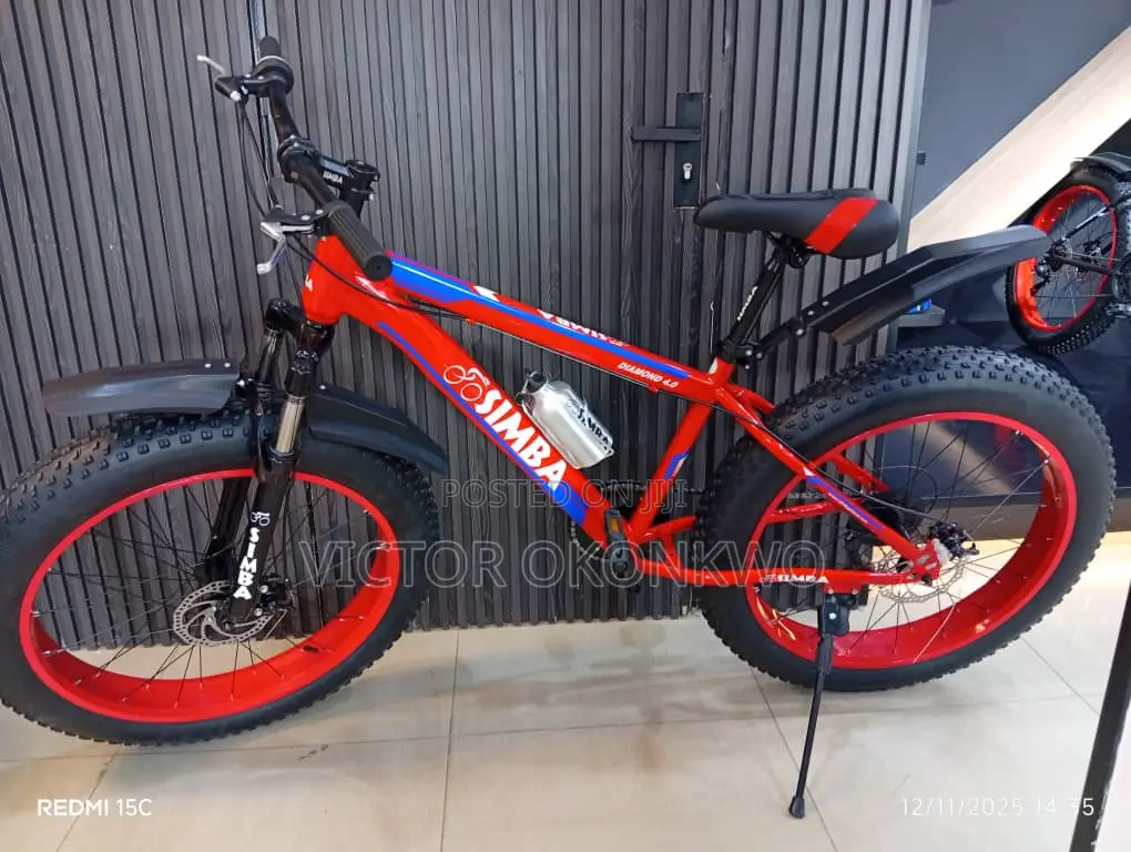 Fat Tire Bicycle