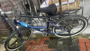 Foreign Bicycles