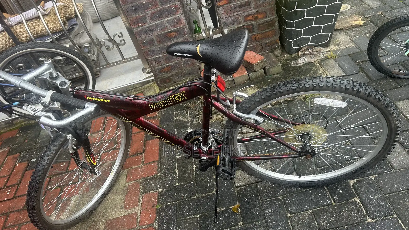 Foreign Bicycles