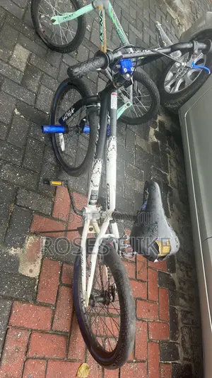 Foreign Bicycles