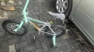 Foreign Bicycles