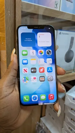Apple iPhone 12 Pro Max 256 GB Blue