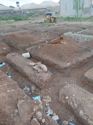 Commercial Plot