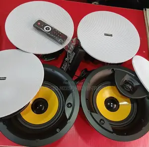 Tundra Ceiling and Pop Speaker