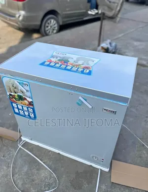 Nexus Freezer 265G