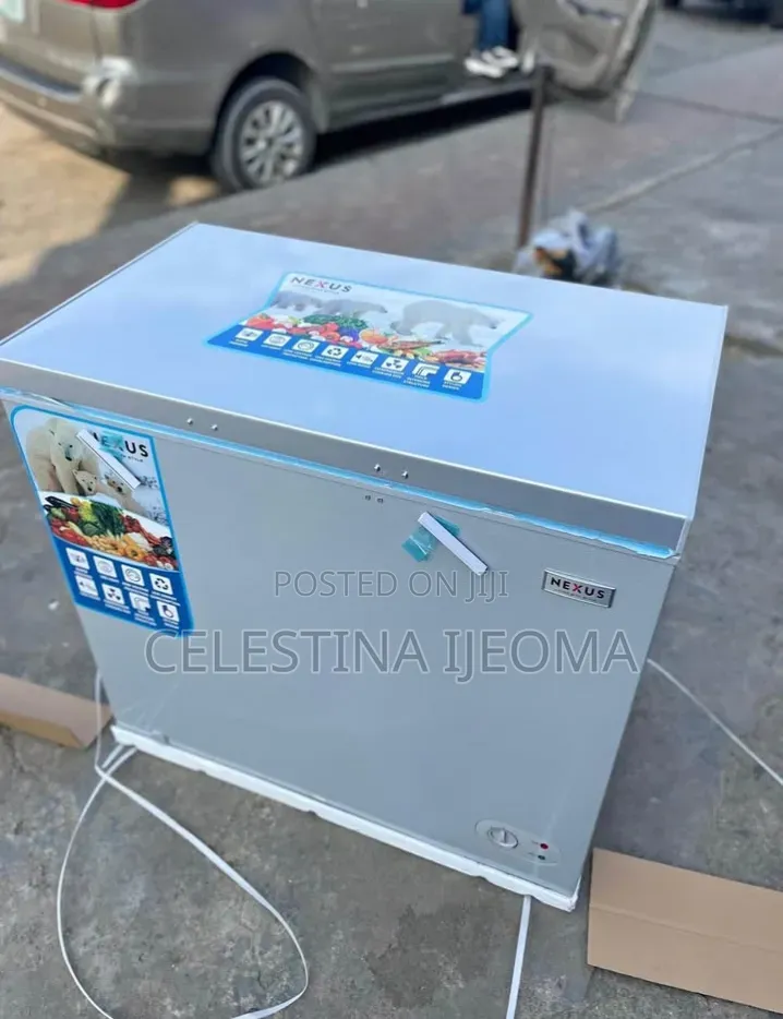 Nexus Freezer 265G