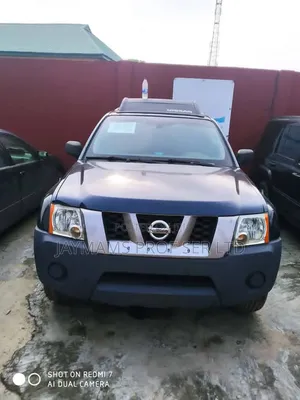 Nissan Pathfinder LE 4x2 2006 Blue