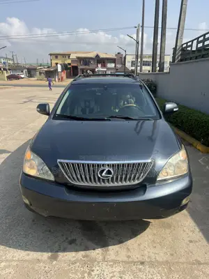 Lexus RX 2008 Gray