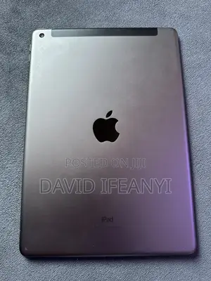 Apple iPad 9.7 128 GB Gray