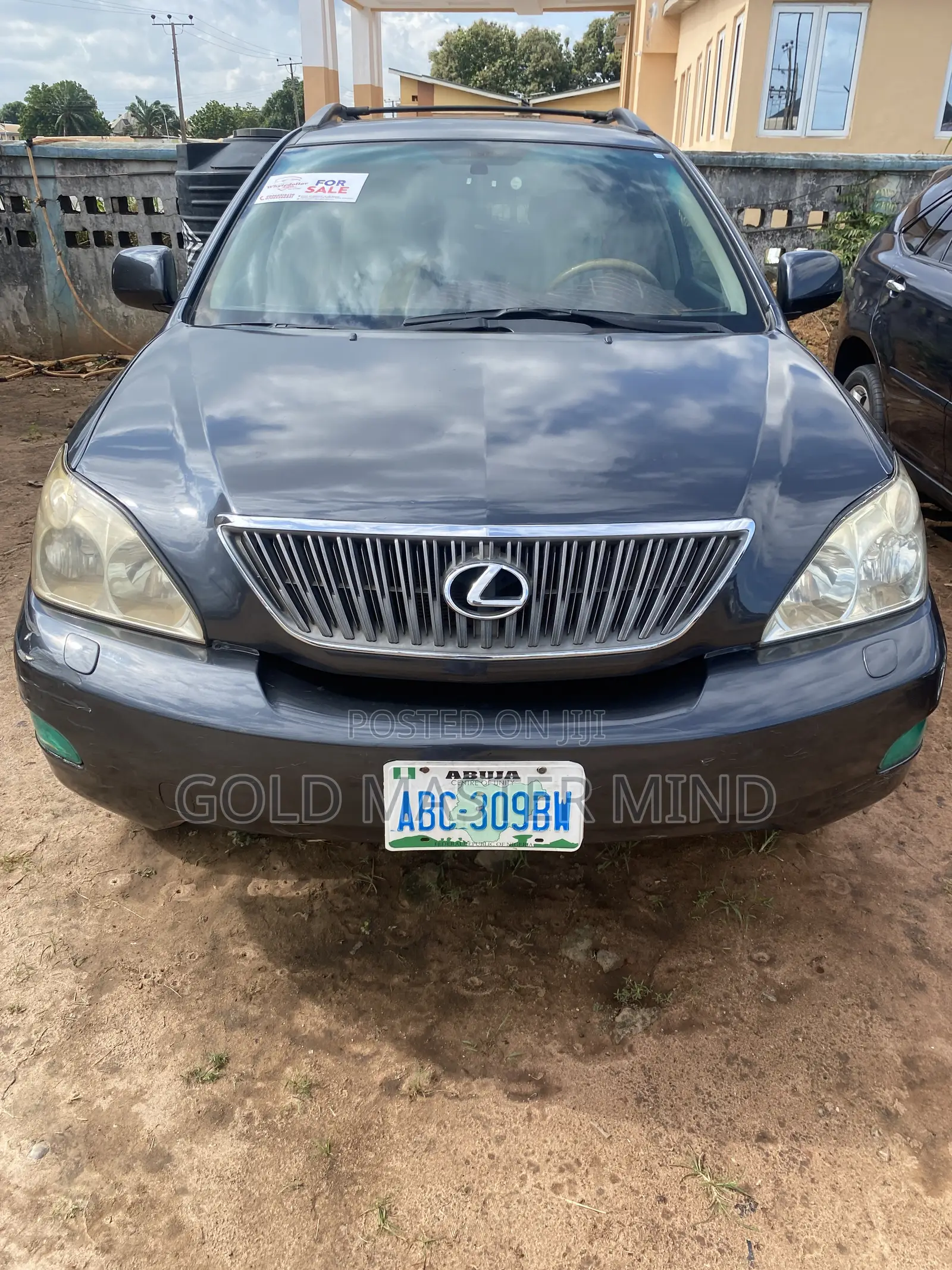 Lexus RX 2006 Blue