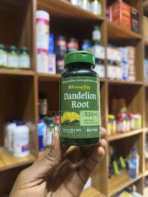 Dandelion Root