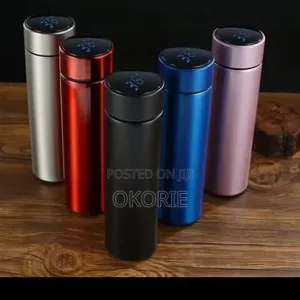 Temperature Waterbottle