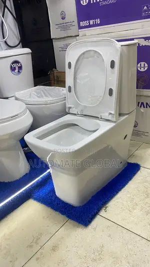 Seat and Tank Wc
