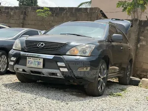 Lexus RX 2006 Gray