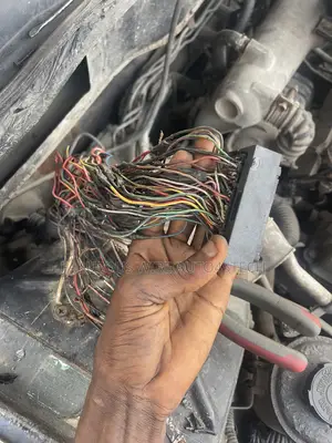 Electrical and Mechanical Tech Engineer
