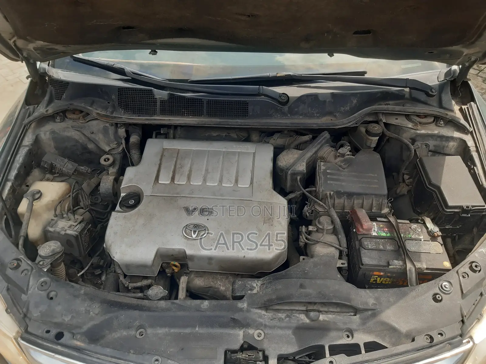 Toyota Venza 2009 Green
