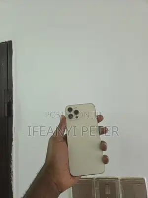Apple iPhone 12 Pro Max 256 GB Gold