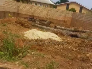300sqm Dry Land Directly on the Road – Umuokoroukwu Amakama