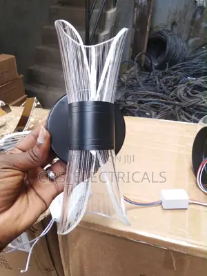 Modern Dual-Flared Acrylic LED Wall Sconce