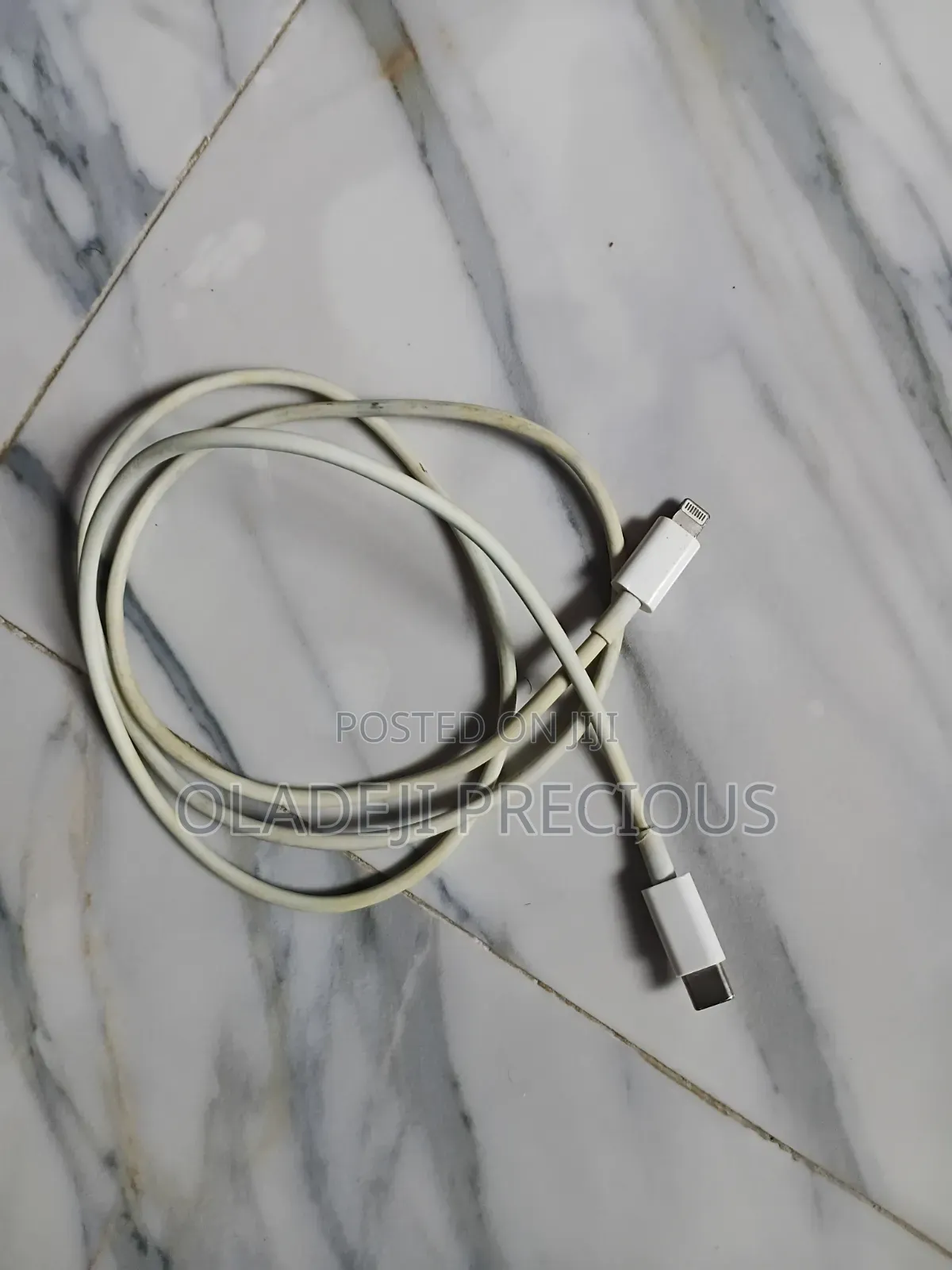 iPhone Charger