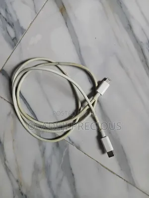 iPhone Charger
