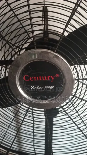 Standing Fan 